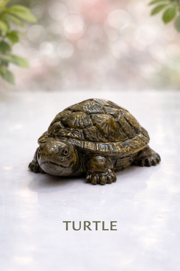 Pirate Turtle Key